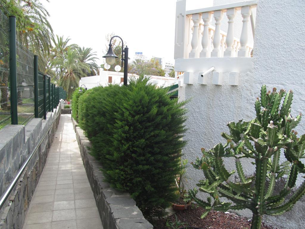 Apartment Virginia Playa de las Americas  Rum bild